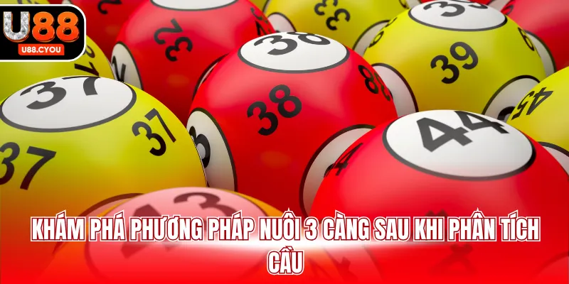 Soi Cầu Ba Càng U88 - Phân Tích Quy Luật Bộ Cược Lô Đề - KA66.RUN